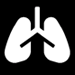 Collaboration Between Clinicians and Vision–Language Models in Radiology Report Generation