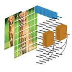 Data-Efficient Image Recognition with Contrastive Predictive Coding